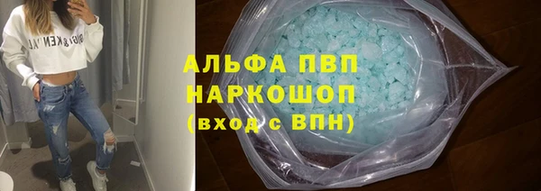 стаф Медногорск