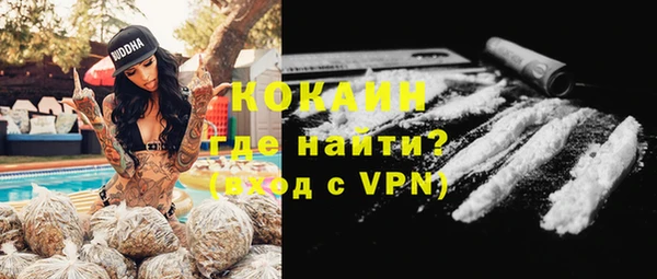 стаф Медногорск