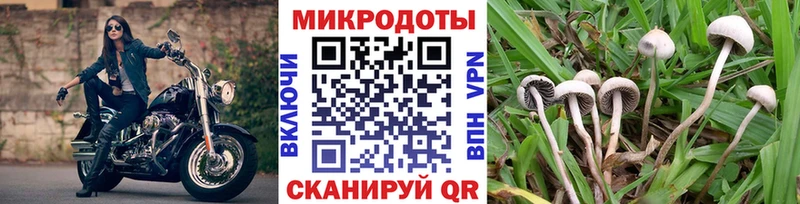 Псилоцибиновые грибы мухоморы  Купить где  Кировград 