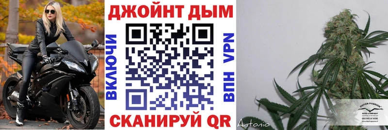 Купить где  Кировград  Марихуана ГИДРОПОН 